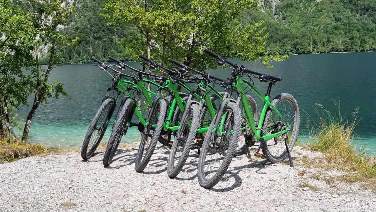 Apartments Vila Darja Bohinji-tó Kültér fotó