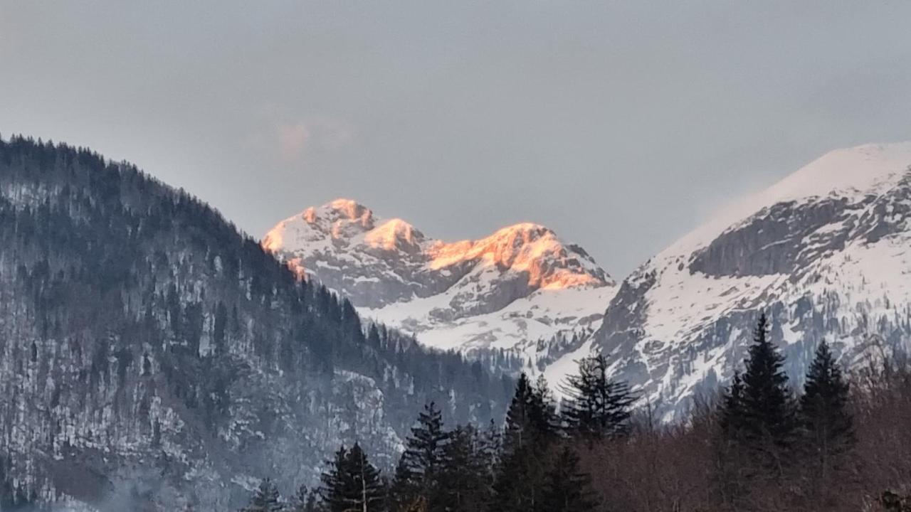 Apartments Vila Darja Bohinji-tó Kültér fotó