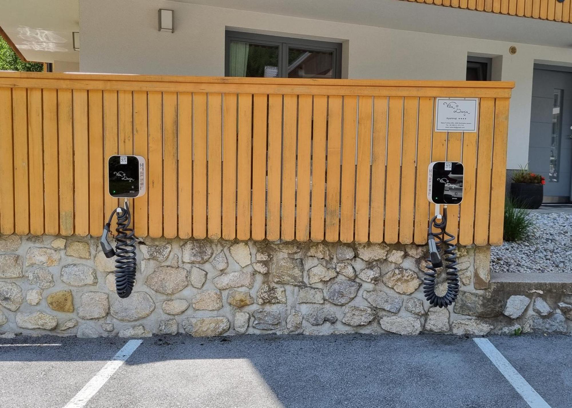Apartments Vila Darja Bohinji-tó Kültér fotó