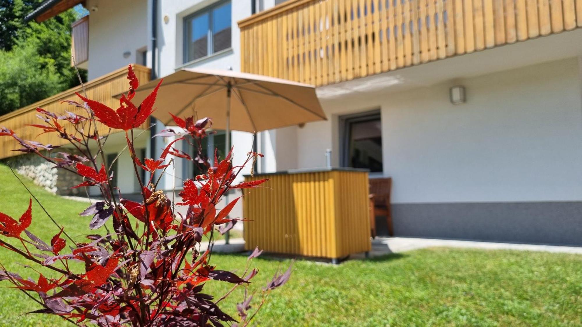 Apartments Vila Darja Bohinji-tó Kültér fotó